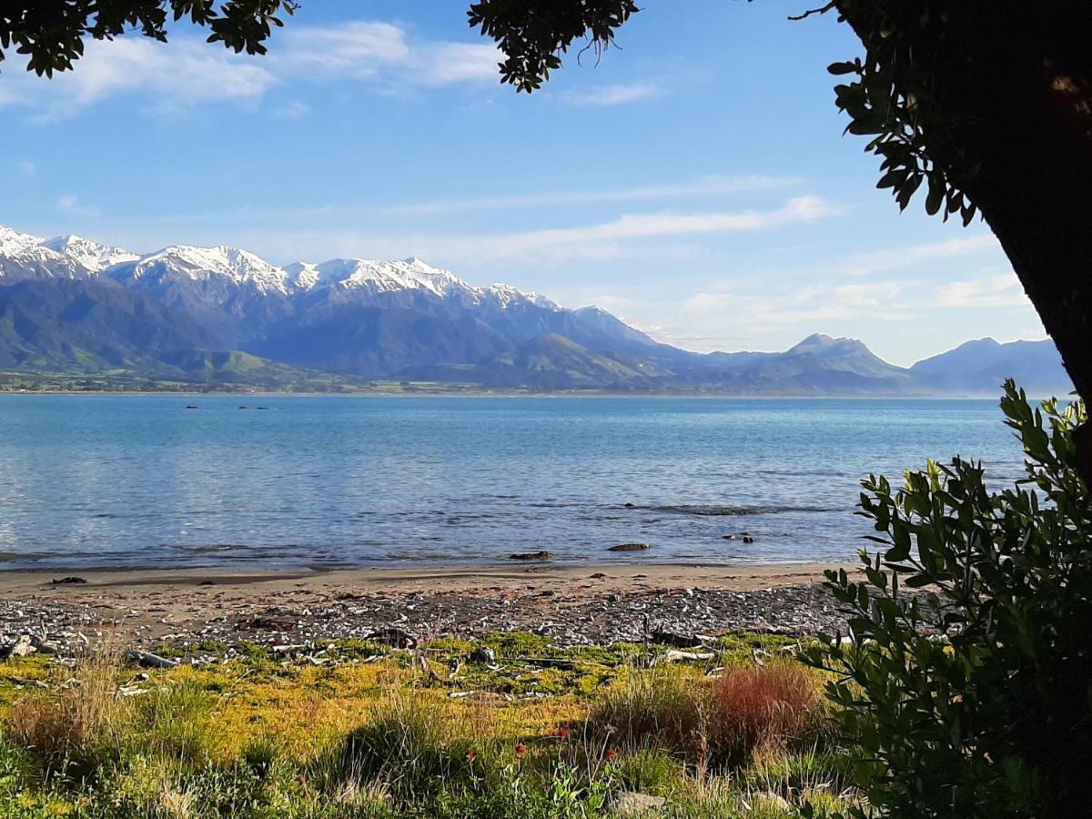 Panorama Motel Kaikoura Dış mekan fotoğraf